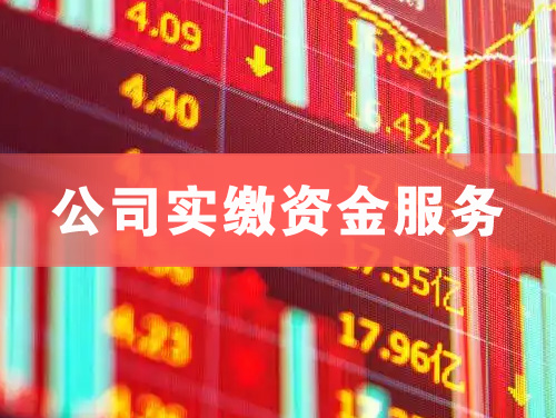 南昌公司实缴资金服务